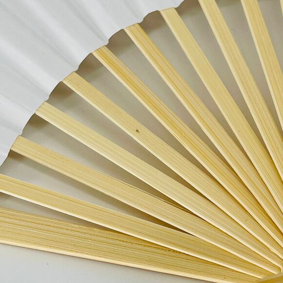 Ketel One Botanical White Foldable Portable Personal Handheld Paper Fan - NWOT - Picture 9 of 14